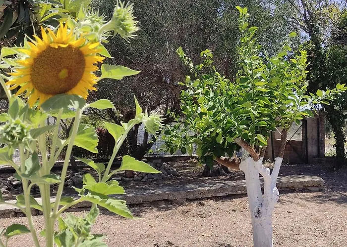 Regina House * Metaxáta